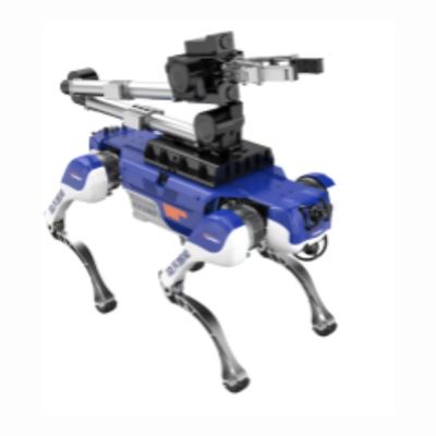 Explosive Four-Legged Robot Dog Maximize Business Potential