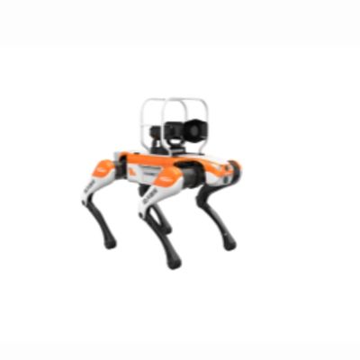 Tourist Area Patrol Quadruped Robot Dog