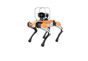 Tourist Area Patrol Quadruped Robot Dog