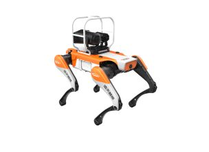 Tourist Area Patrol Quadruped Robot Dog