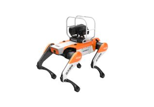 Tourist Area Patrol Quadruped Robot Dog